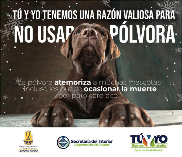 Rescue Calm Mascotas